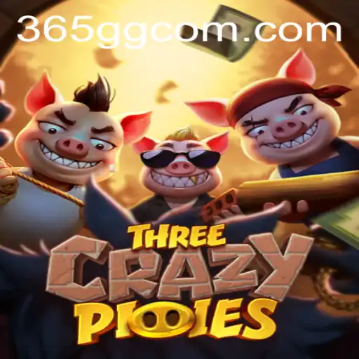Discover the Adventures of ThreeCrazyPiggies in the World of 365GG.COM
